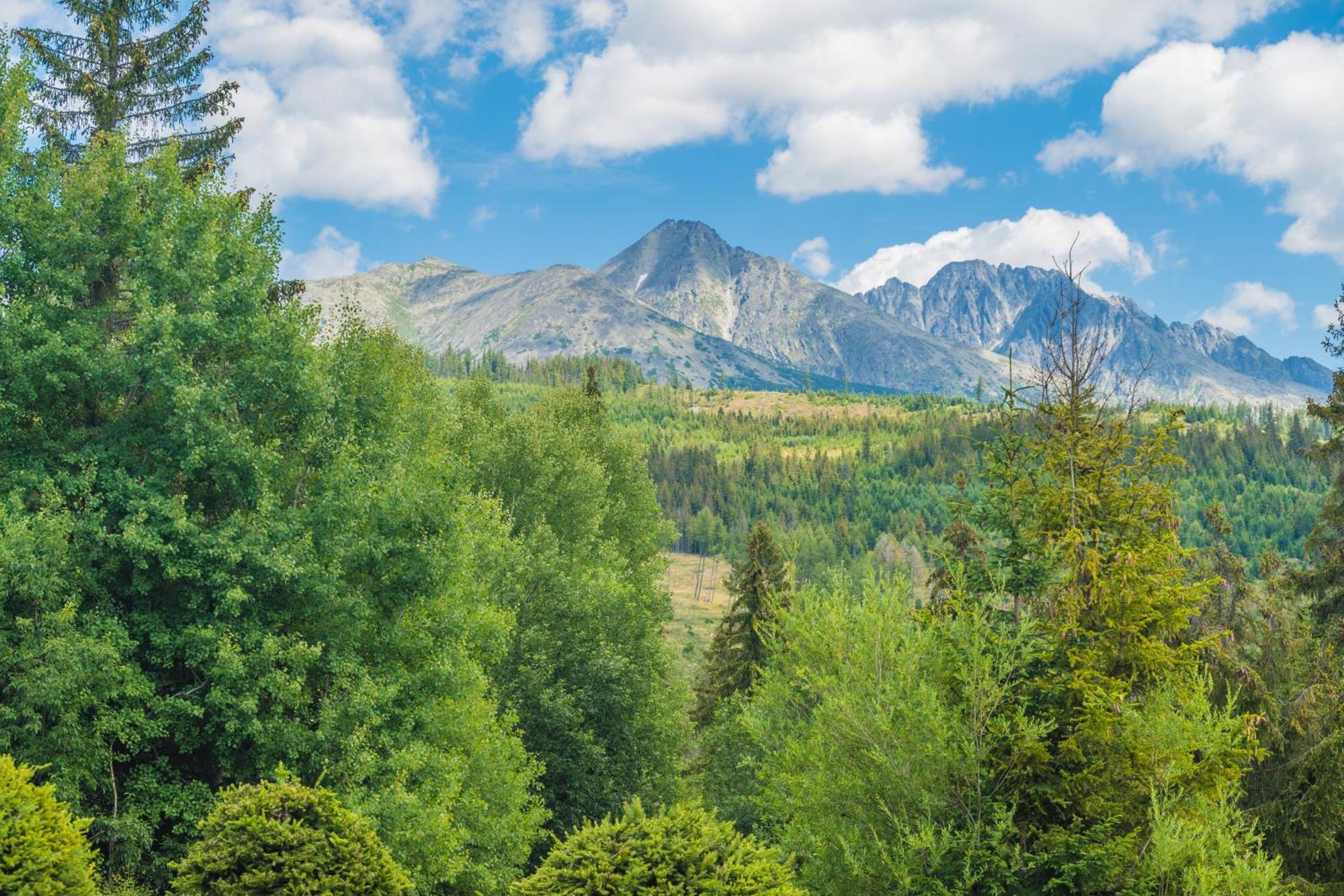 Sherpa'S Hostel High Tatras Штрбске-Плесо Экстерьер фото